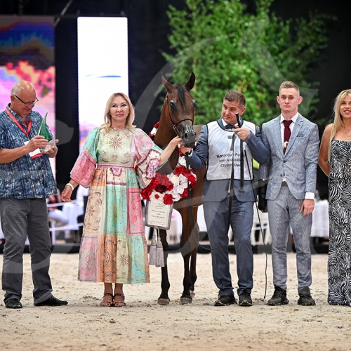 Cararra the Silver Champion of the Show in Janów Podlaski