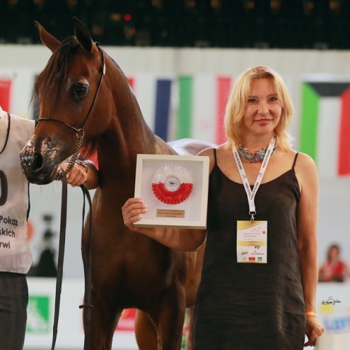 Polish National Arabian Horse Show 2020