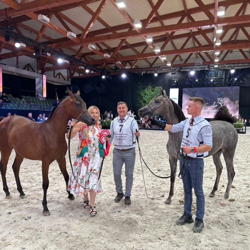 Cararra 1st and Etolka 4th in class during the XLV National Arabian Horse Show in Janow Podlaski