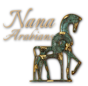 Nana Arabians